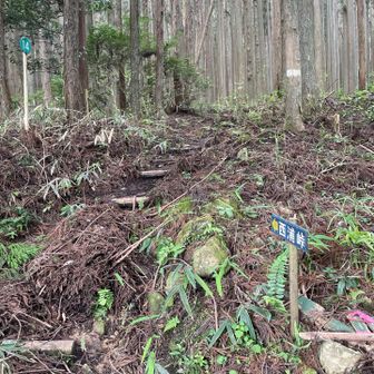 西浦峠の登山口に下りてきました