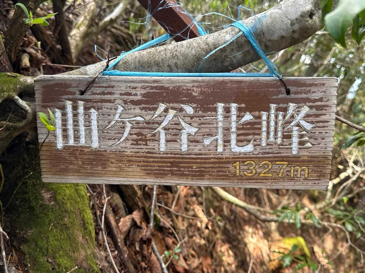 京ヶ谷北峰登頂1327m