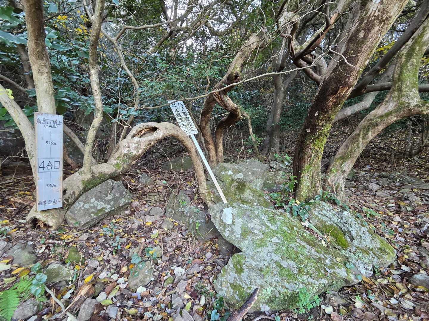 ４合目、ここから少しの間ガレ場を進む。