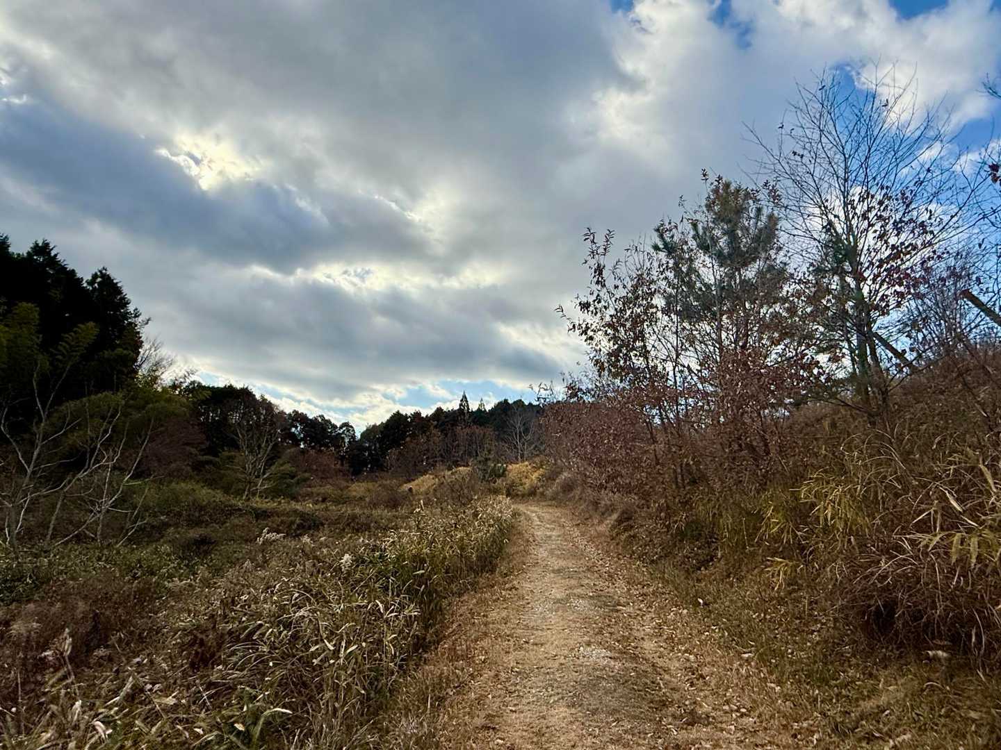 どんより雲☁️
誰もいない

あっ、お爺ちゃんとすれ違った！