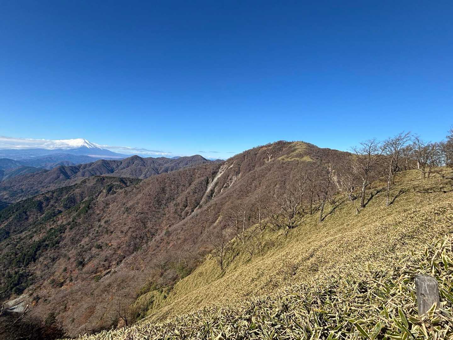 蛭ヶ岳と富士山。丹沢山からプラス3hで行けるが(計11hのCTはムリ)