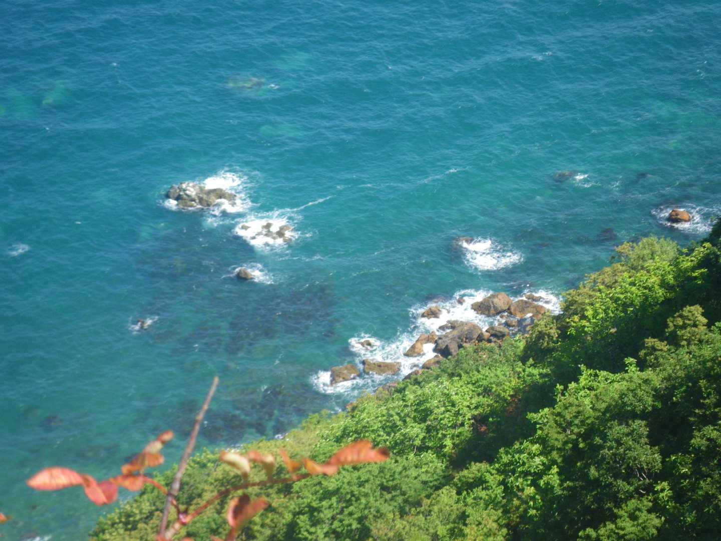 岩礁…