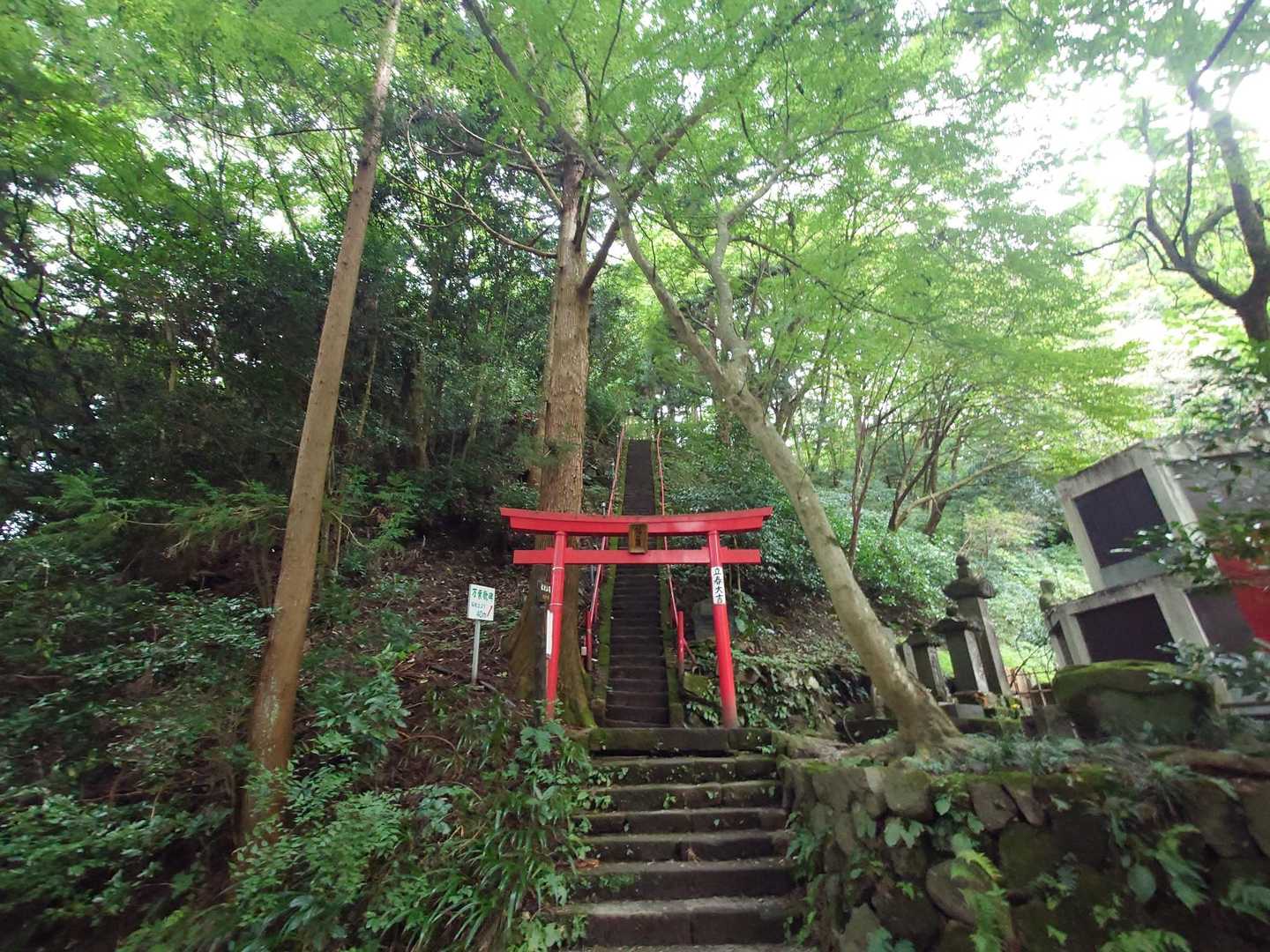 浅間山(水沢山) 往復コースの写真