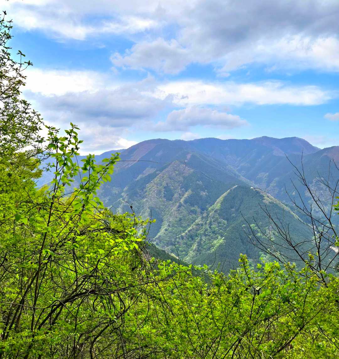 鷹ノ巣山が見えた😊

最後の1時間30分は舗装路歩き🥾
ちょっと辛かったなぁ😓