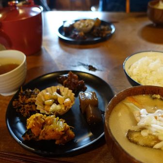 夕食、生姜の佃煮おいしかった！