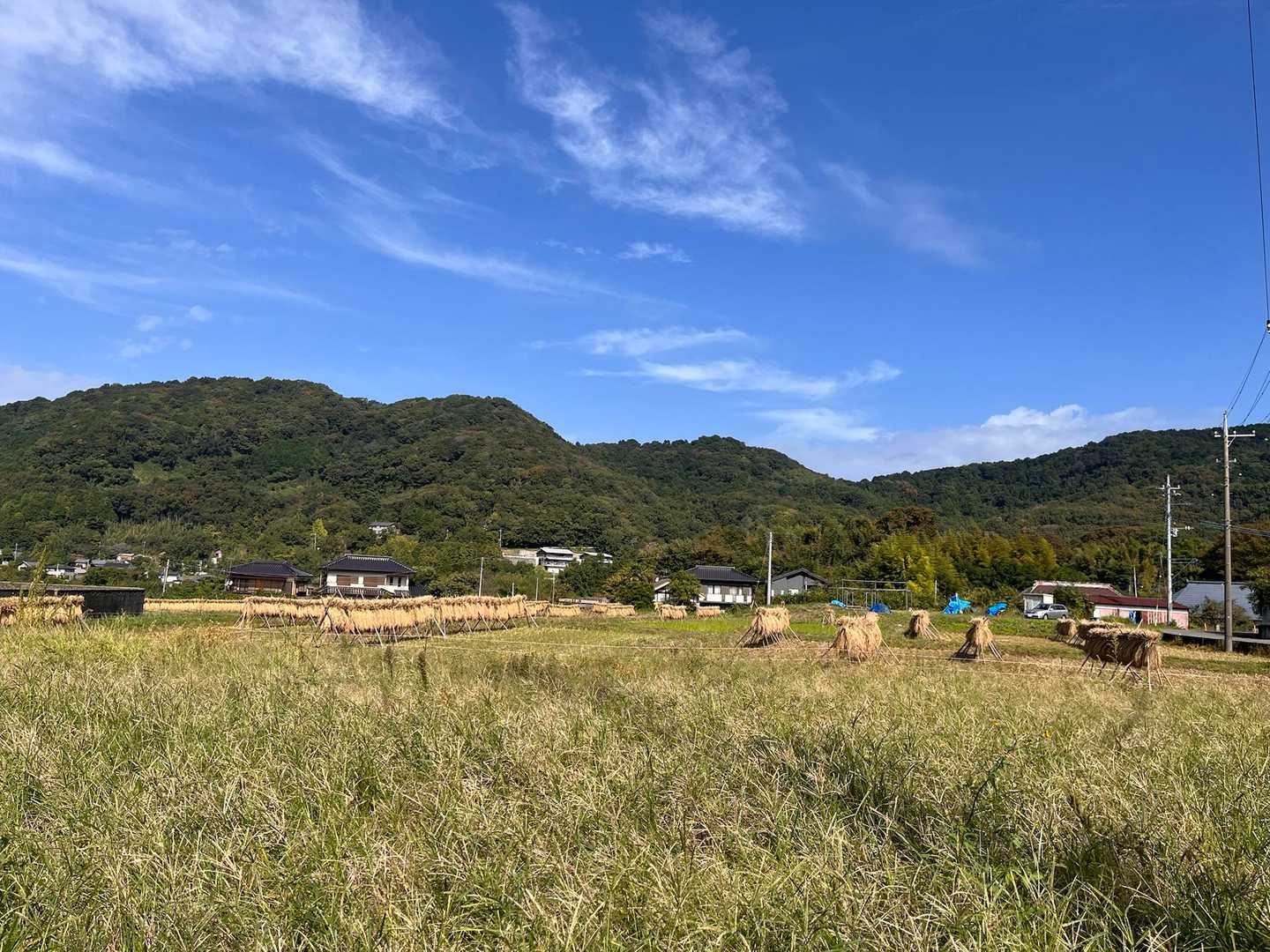 稲刈り🌾あとの風景､､､
ほっとします