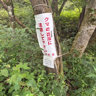 見る度に怖かった🐻