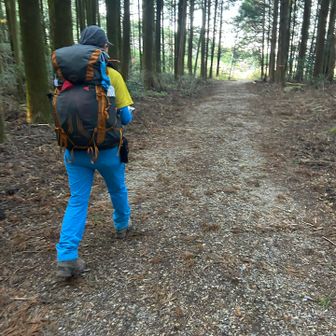もう安心の林道
