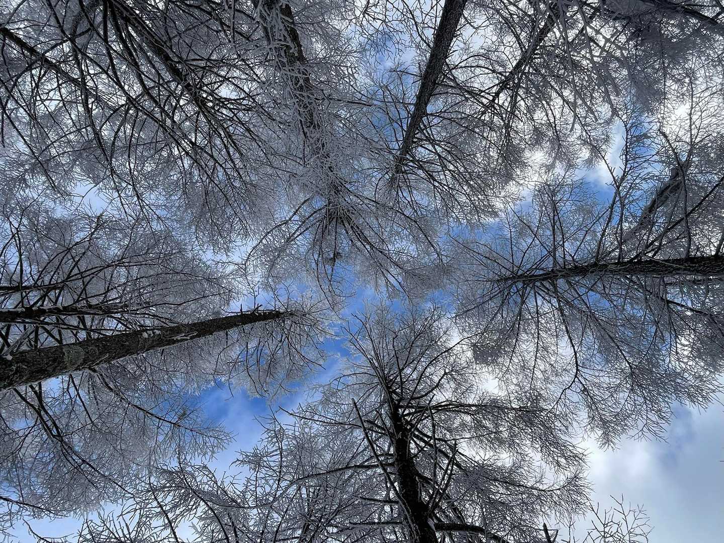 三和峠-風越-聖峠-聖山 往復コースの写真