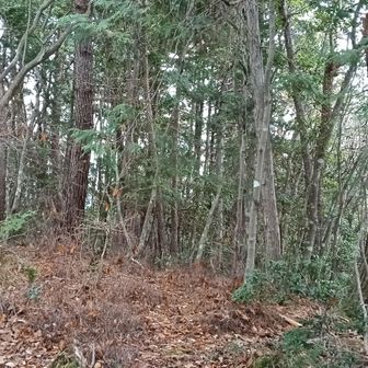 気合いだ。初代タイガーマスク 佐山聡も言っていた。