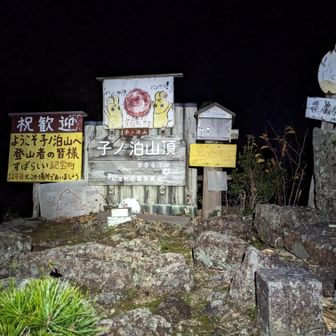 一等三角点も含めて山頂全体的に📸
写真で見て想像していたよりメインの山頂標識が結構大きかった😲