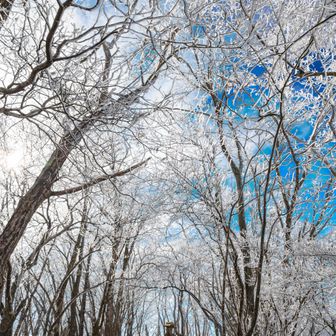 荒船山山頂の霧氷天国
祠とともに