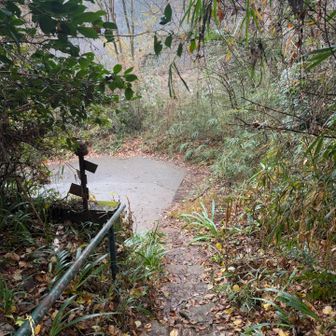 下りきりました😉