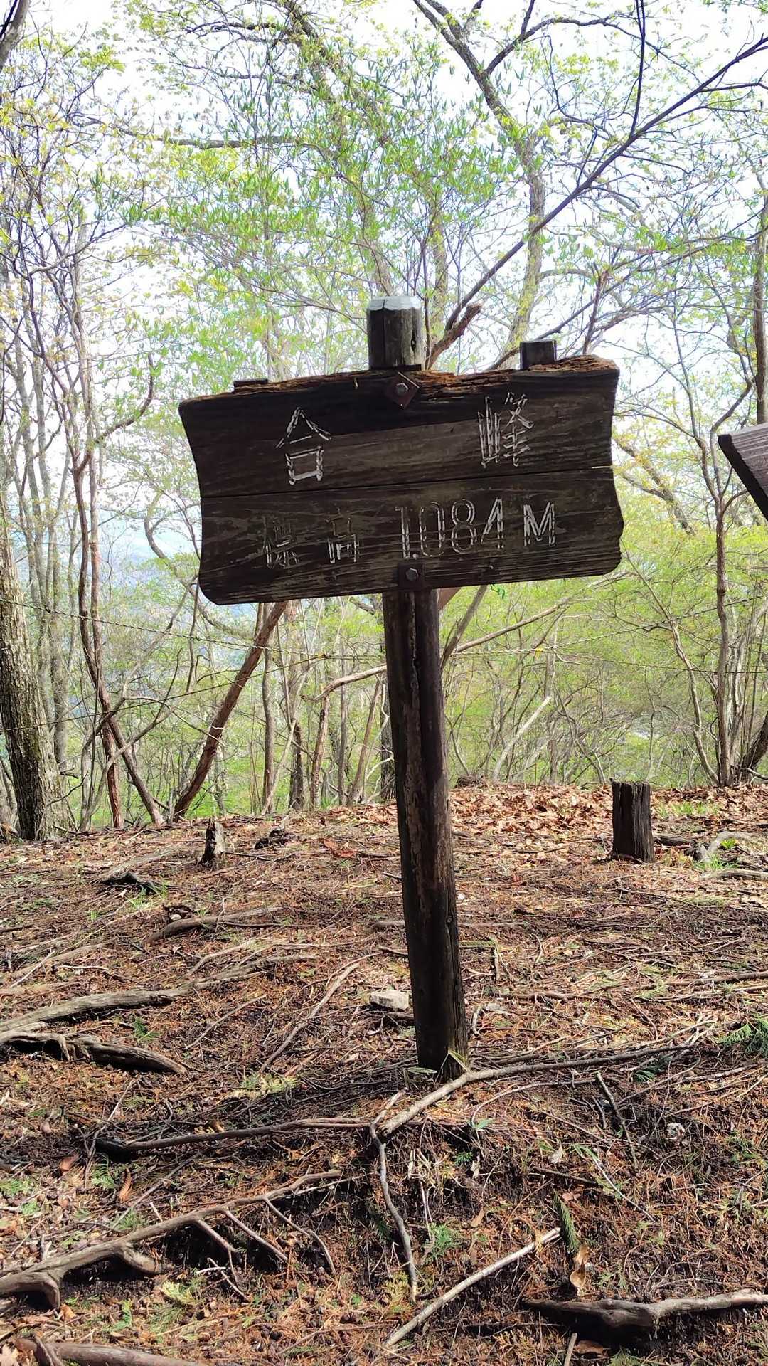 鳴虫山登山口-神ノ主山-鳴虫山-合峰-独標 縦走コースの写真