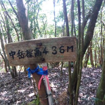 中岳に寄ります。