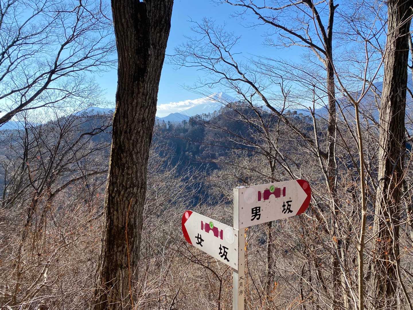 高川山（JR初狩駅）の写真