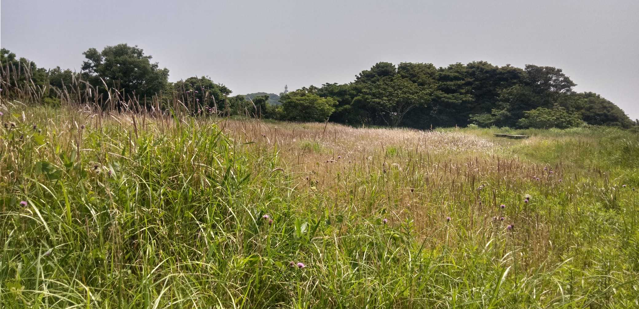 烽火台山山頂❗江戸時代末期にのろし台があったようです⁉️