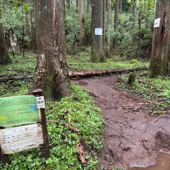 防ヶ沢登山口です。