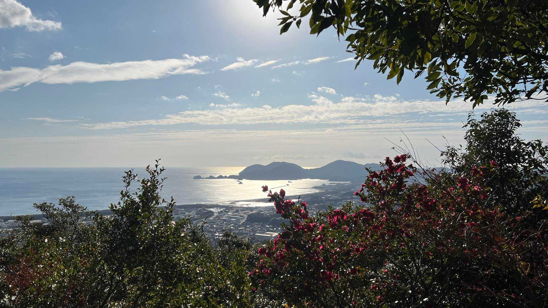 キラキラ✨