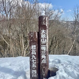 大畝山🏔️