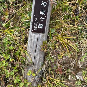 スキー場もある大きな山なのにピークがしょぼい