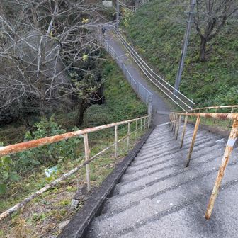 トリックアートのような階段です。