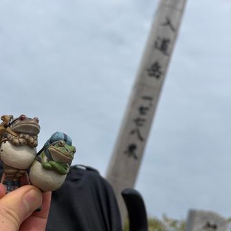 下戸でも知ってる超有名酒、八海山
