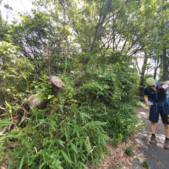 唯一の山頂は摩耶別