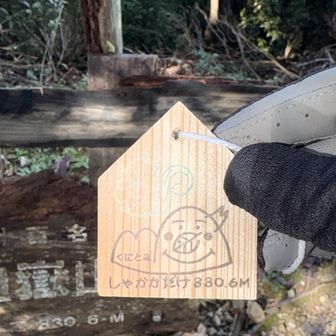 かわいい
ありがとうございます😊