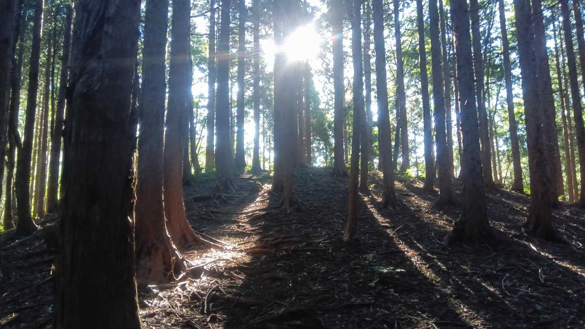 母袋烏帽子岳 往復コースの写真