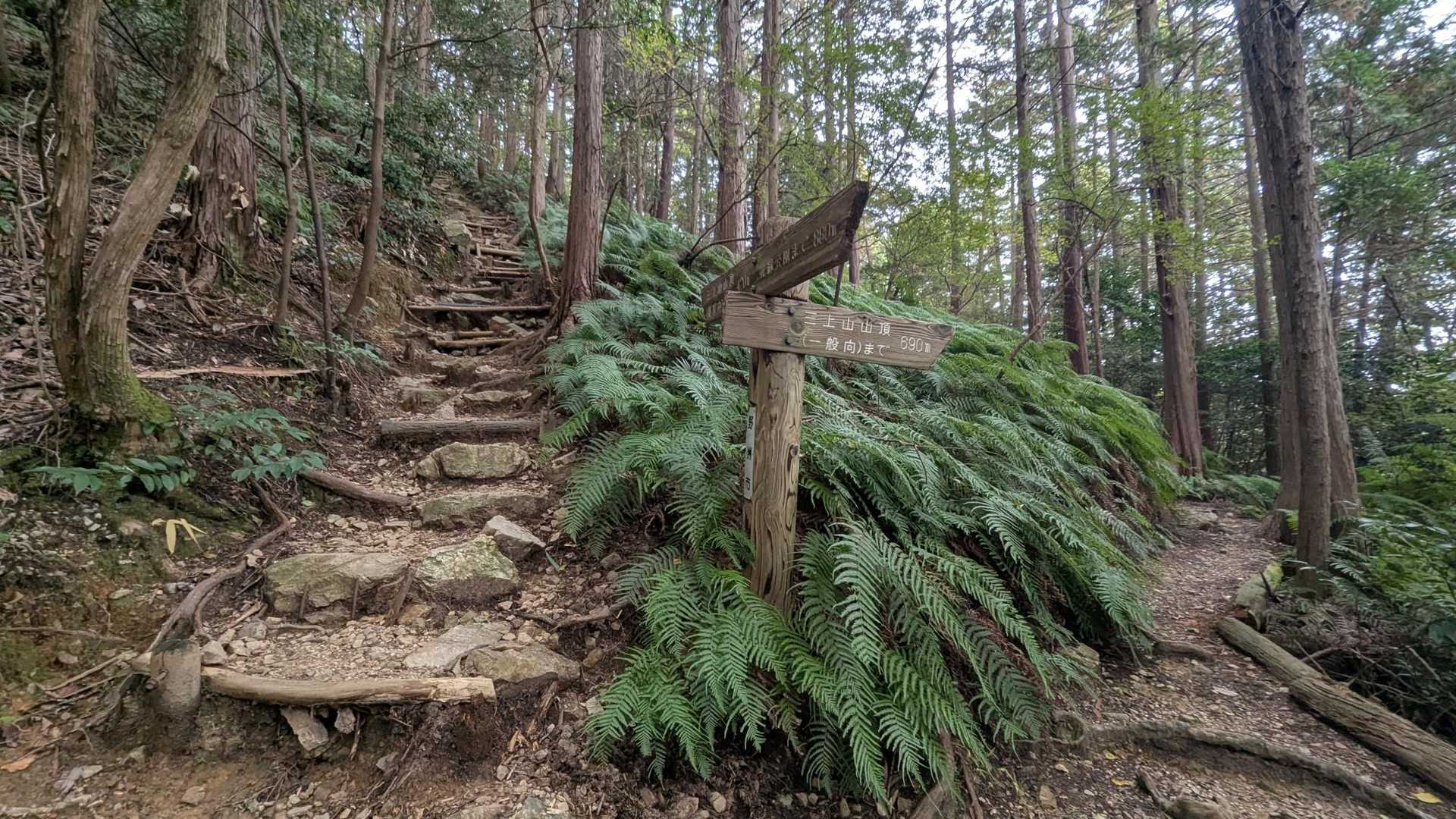 ↖️健脚↗️一般 
ルート選べます🤔
登りは健脚で🚶🏻