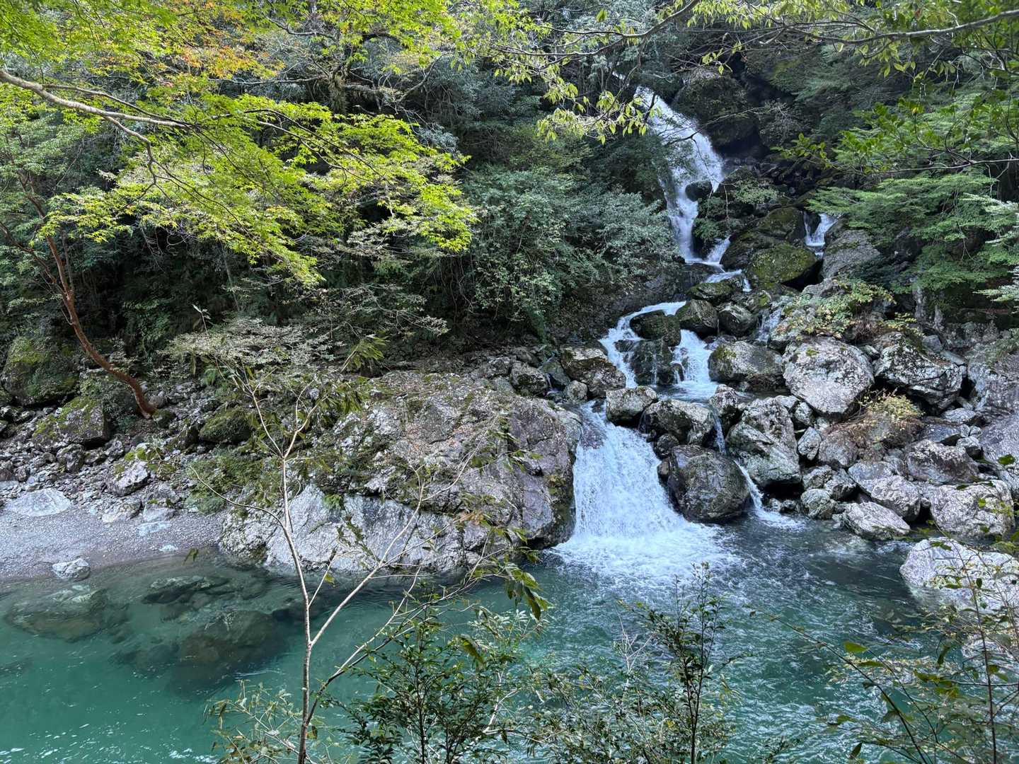 大杉峡谷登山口-休憩所-堂倉滝吊橋-大台ヶ原山-大台ヶ原バ 往復コースの写真