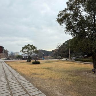 天拝山歴史自然公園

朝は体操されてる方とか
今から登る方とか
いましたけど、この時間はほぼ誰もいない状況でした。