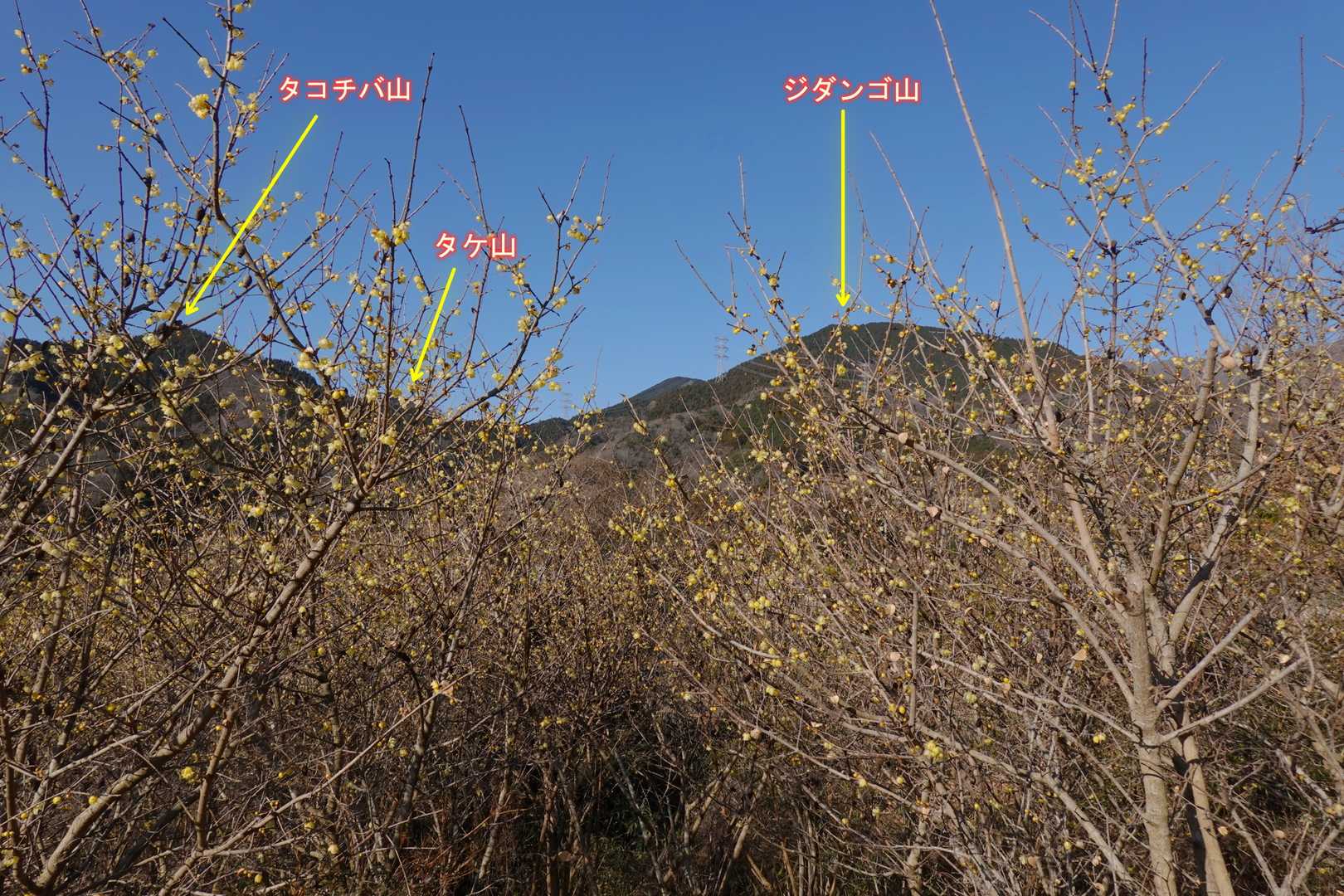 近くにはおなじみの低山