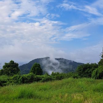 高草山　下からガスが湧いてくる