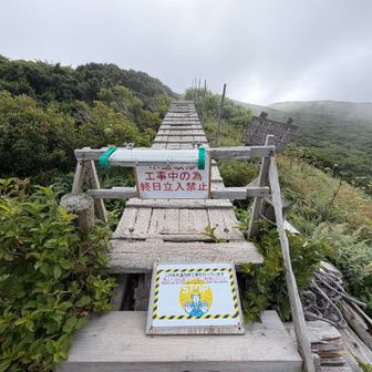 山頂へのまっすぐの木道は、通行止　迂回路で山頂へ