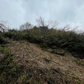 ヤブで行けない