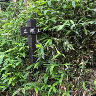 ここからスタート
笹薮をかき分け足元見えない😅
山王帽子山の半分まで行って撤退　
