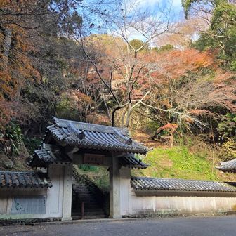 伏姫籠窟（ふせひめろうけつ）
八犬伝で伏姫が八房と暮らしたとされる洞窟