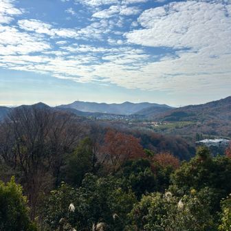 本日の一座目は桜山
山の合間から瀬戸内海、淡路島がチラリ見ているがわかりませんよね