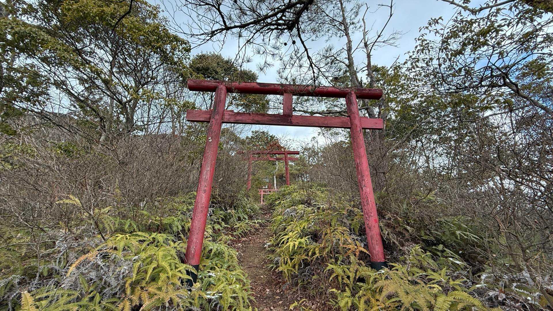 急登続きで鳥居も次々あった