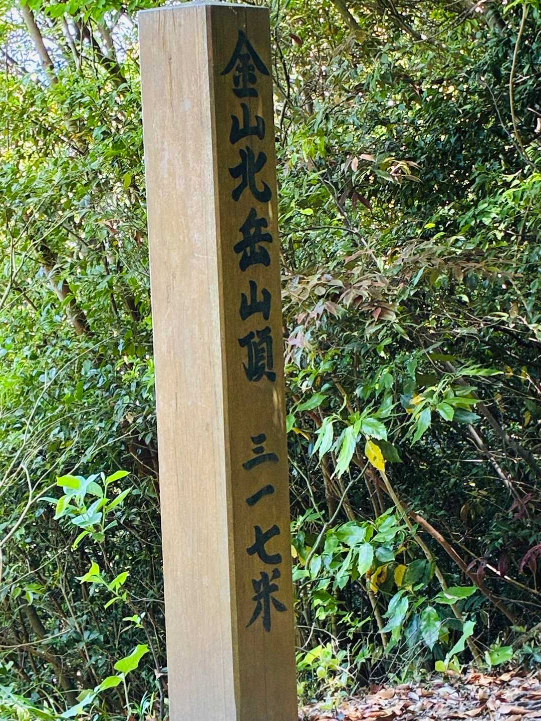 赤間登山口-城山-石峠-金山南岳 往復コースの写真