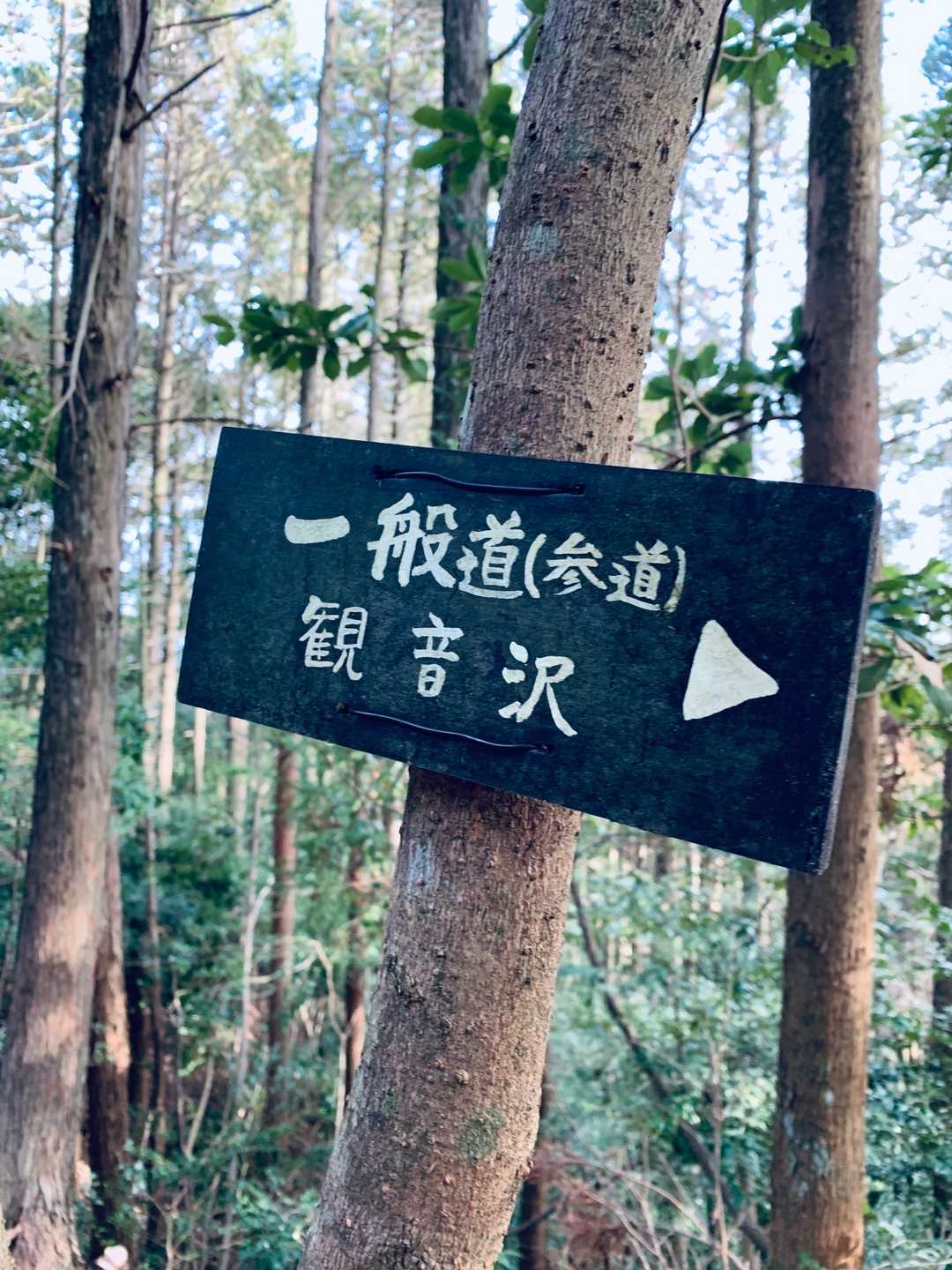 観音沢はまた今度にします