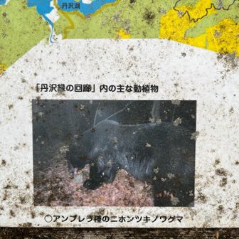 恐怖感与えますね