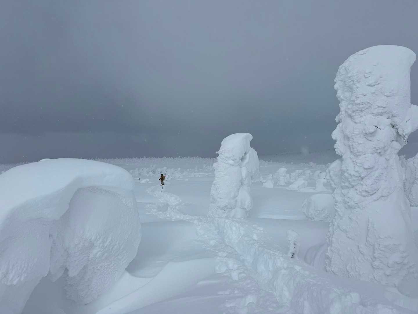 穏やかですが
気温はかなり低い❄️