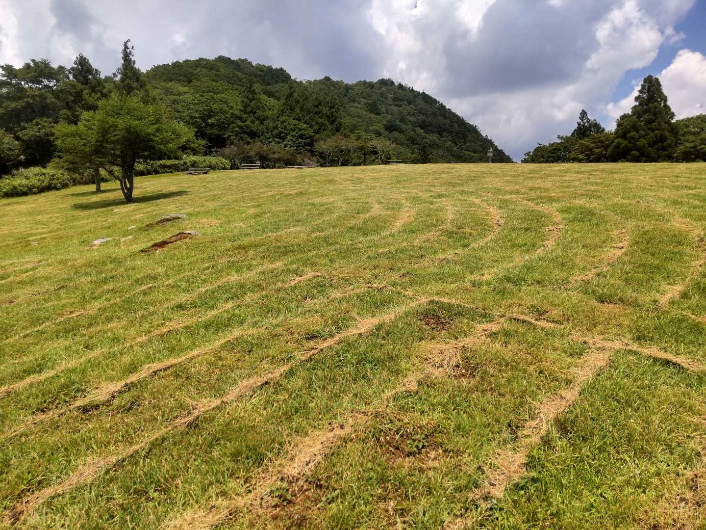 綺麗なシマシマ模様〜🌿
あれっ😨遠くでゴロゴロ🌩と聞こえてきた💦