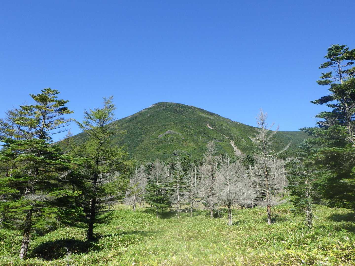 天祥寺原から振り返って蓼科山