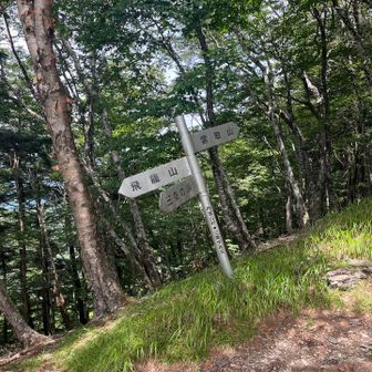 雲取山への分岐

もう少しか🤔