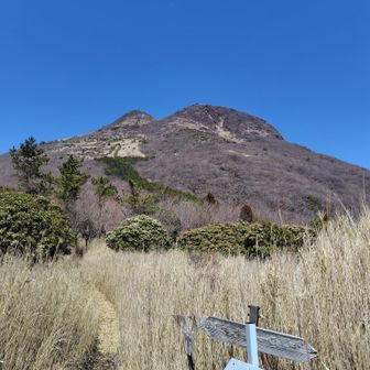 飯盛ヶ城との谷間から見る由布岳
この方向から見る由布岳は新鮮だ