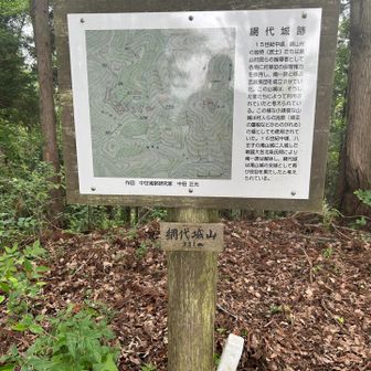 網代城山。
